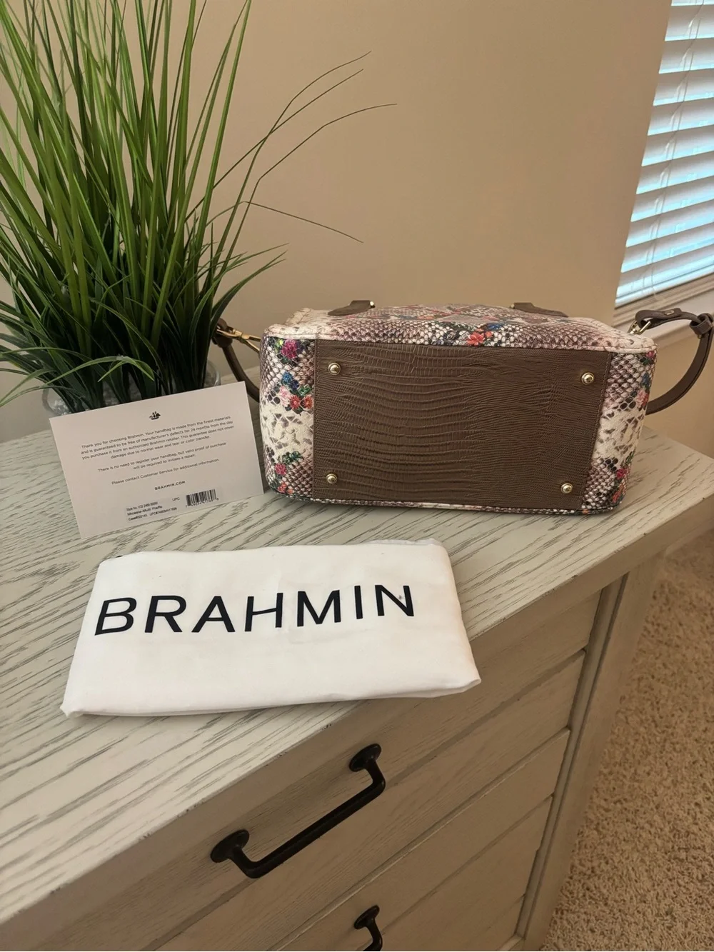 Brahmin satchel snake